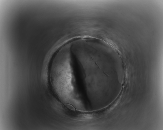 X0000090420295200707201123