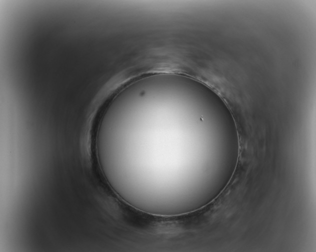 X0000090420296200707201123