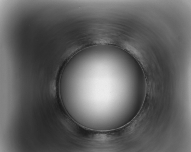 X0000090420298200707201123