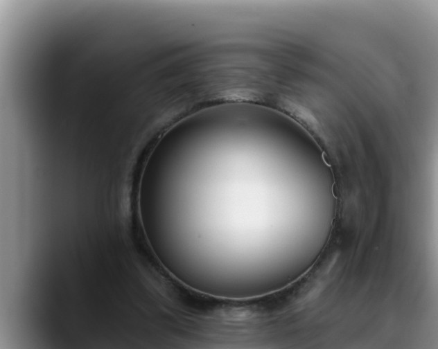 X0000090420299200707201123