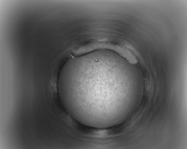 X0000090420313200707201123