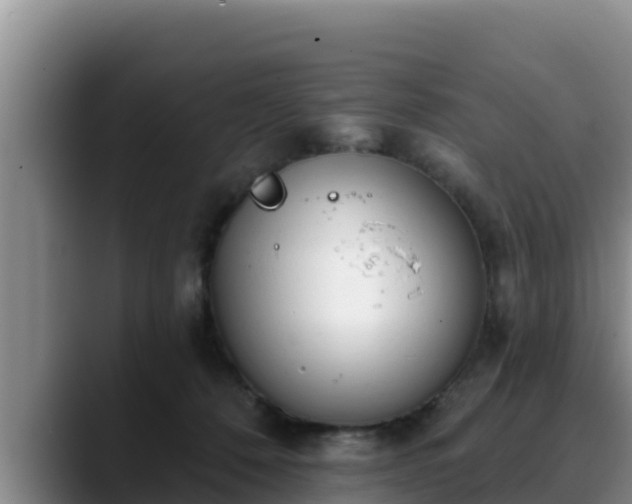 X0000090420320200707201123