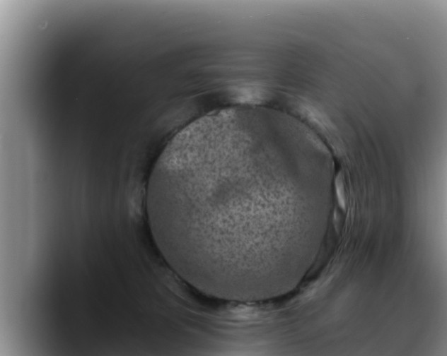 X0000090420325200707201123