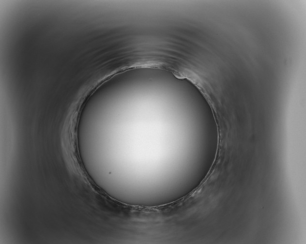 X0000090420337200707201122