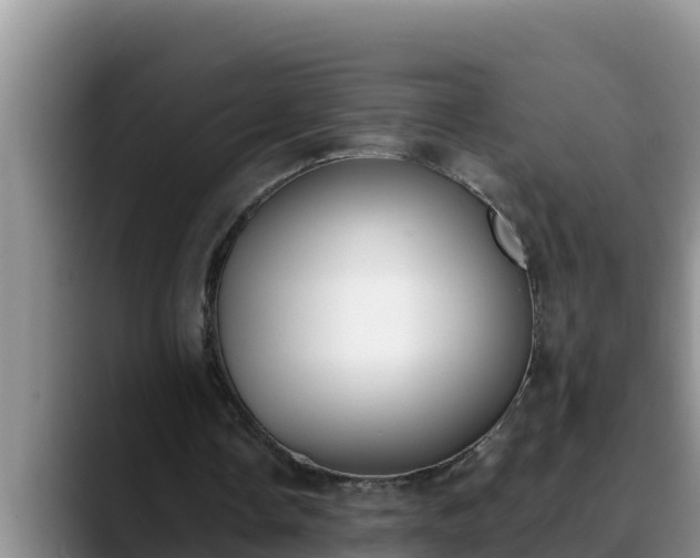 X0000090420338200707201122