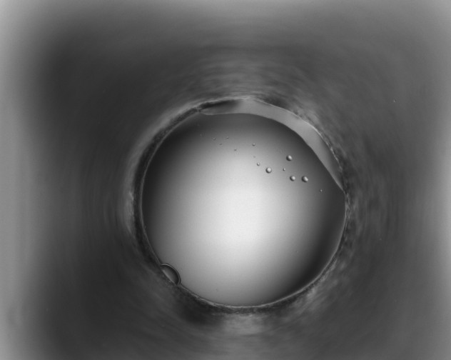 X0000090420342200707201122