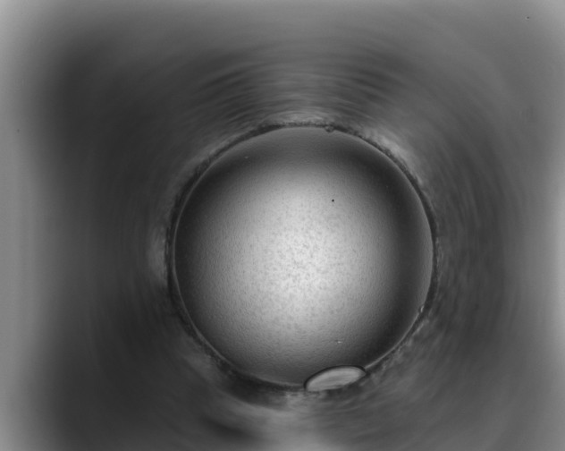 X0000090420345200707201122