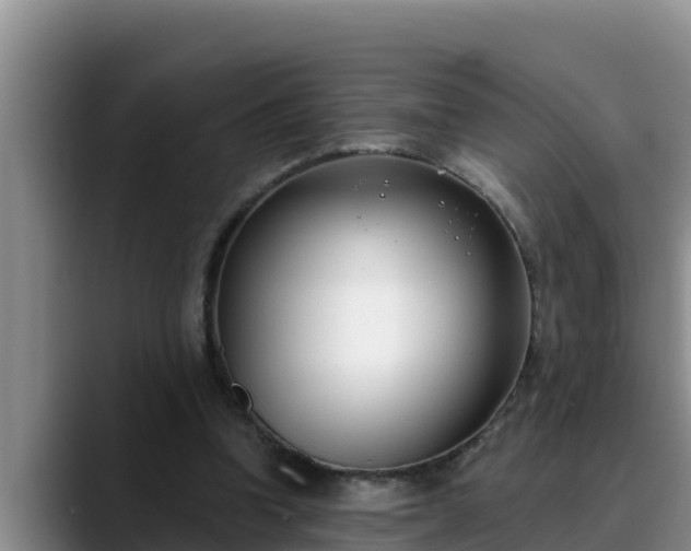 X0000090420346200707201122