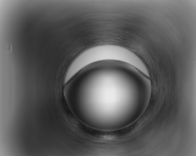 X0000090420360200707201122