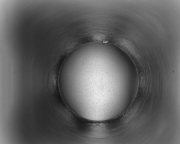 X0000090420363200707201122