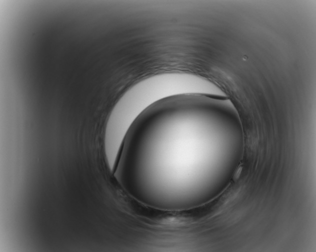 X0000090420364200707201122