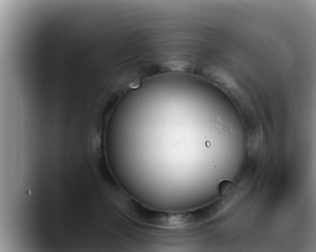 X0000090420365200707201122