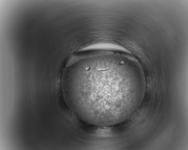 X0000090420369200707201122