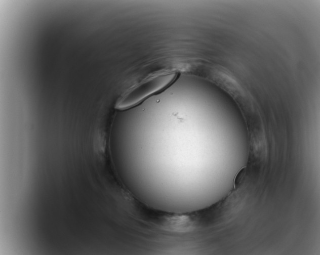 X0000090420374200707201122