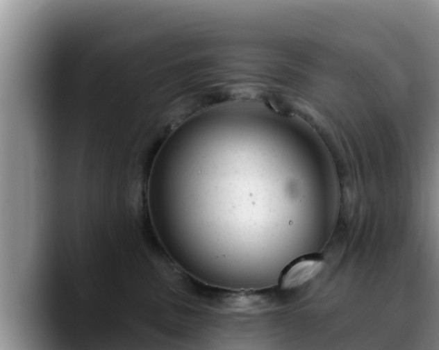 X0000090420379200707201122