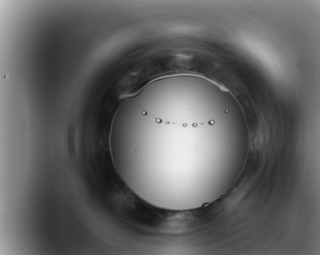 X0000090420382200707201122