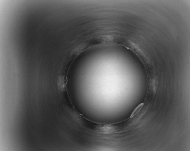 X0000090420383200707201122