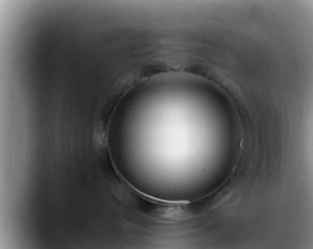 X0000090420384200707201122