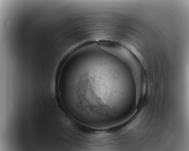 X0000090420391200707201122