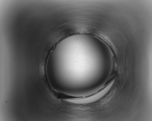 X0000090420393200707201122