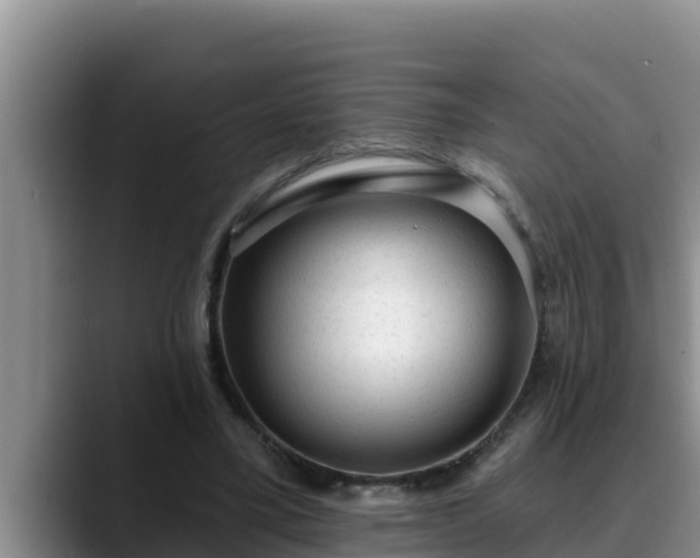 X0000090420395200707201122