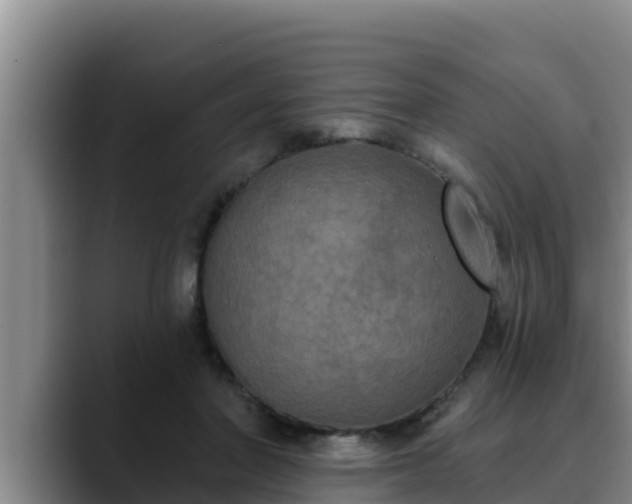 X0000090420406200707201122