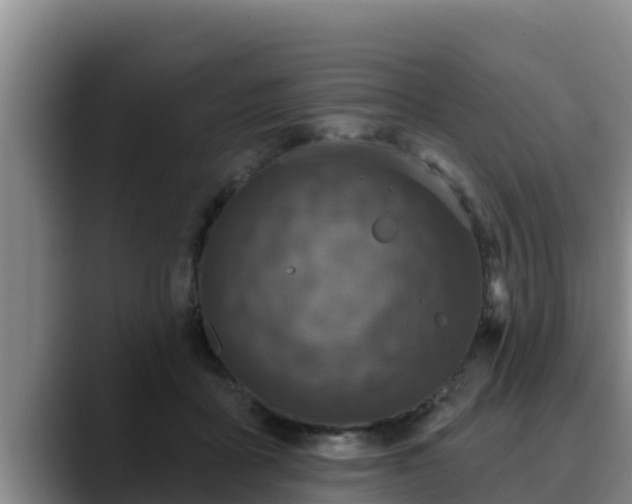 X0000090420411200707201122