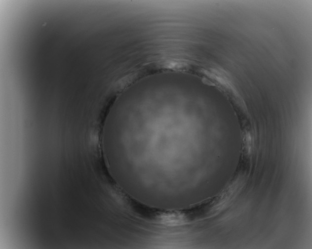 X0000090420415200707201122