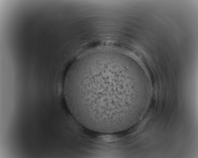 X0000090420417200707201122