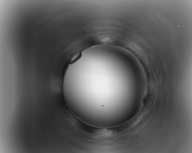 X0000090420421200707201121