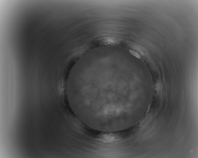 X0000090420423200707201121