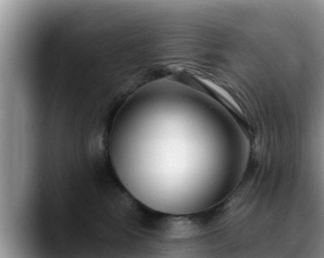 X0000090420424200707201121