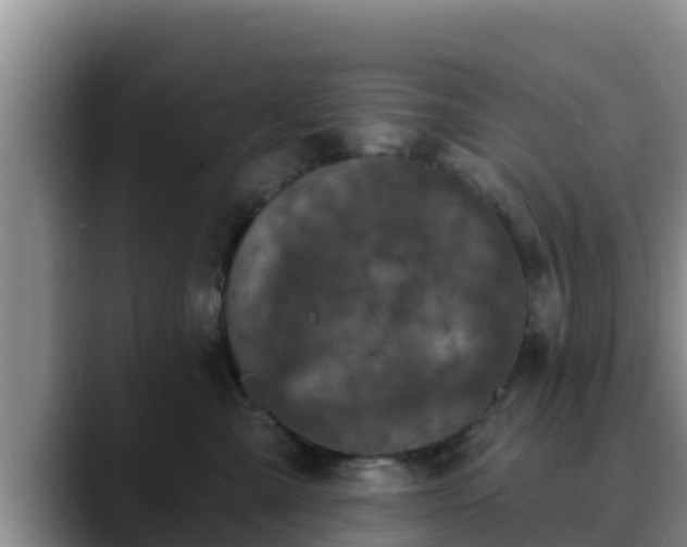 X0000090420427200707201121