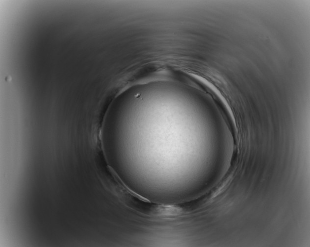 X0000090420429200707201121