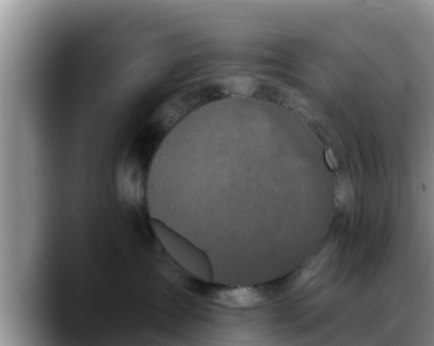 X0000090420431200707201121