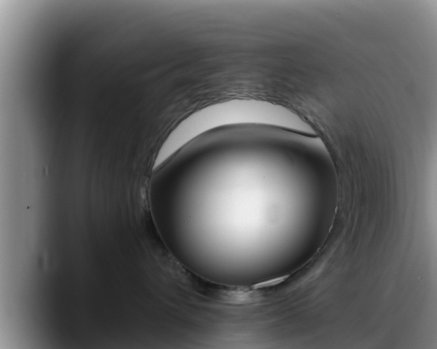 X0000090420432200707201121