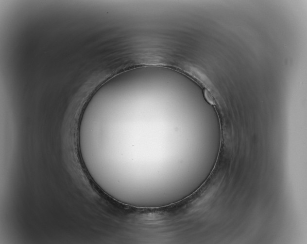 X0000090420433200707201121