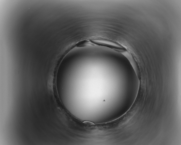 X0000090420434200707201121