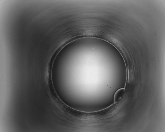 X0000090420435200707201121