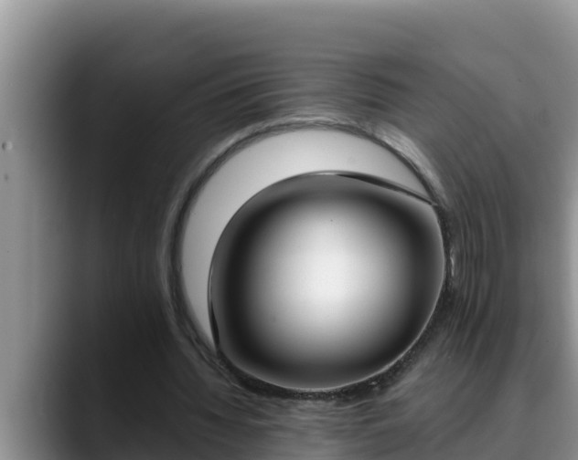 X0000090420436200707201121