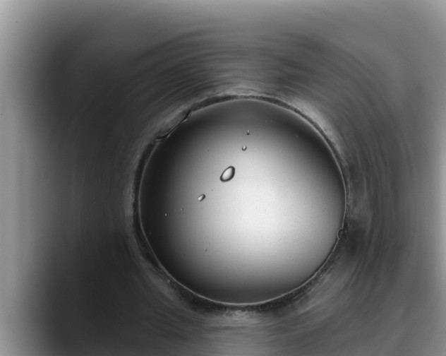 X0000090420437200707201121