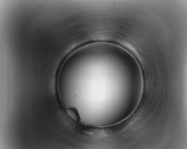 X0000090420439200707201121