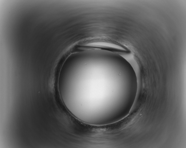 X0000090420440200707201121