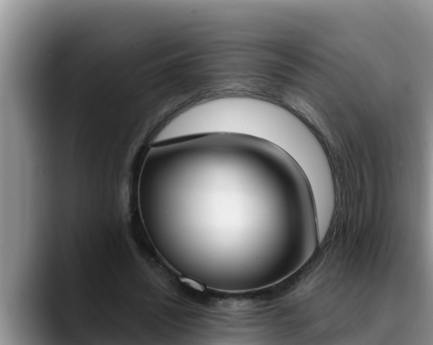 X0000090420444200707201121