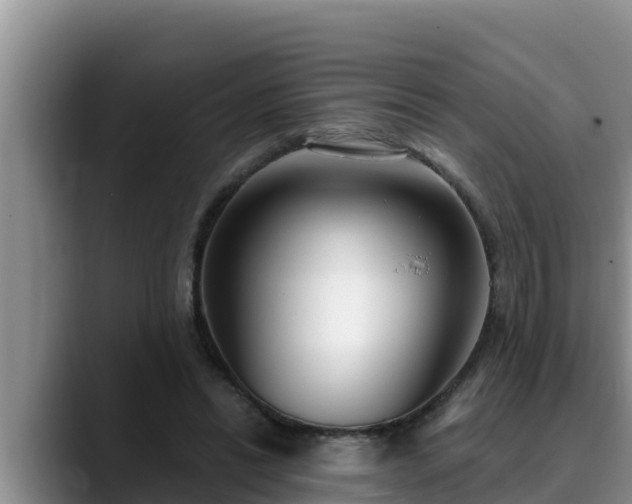 X0000090420446200707201121