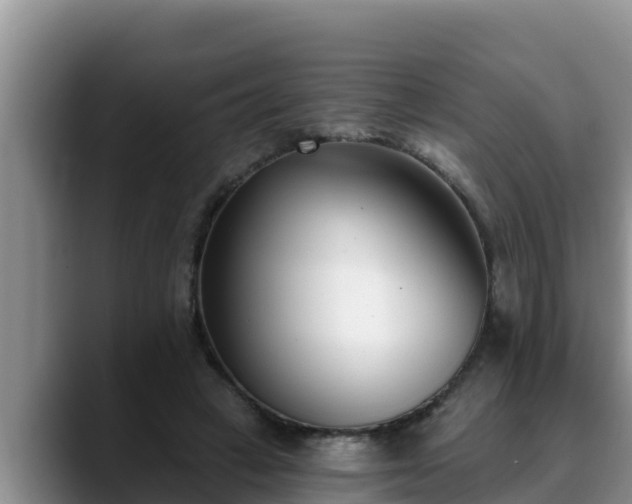 X0000090420449200707201121