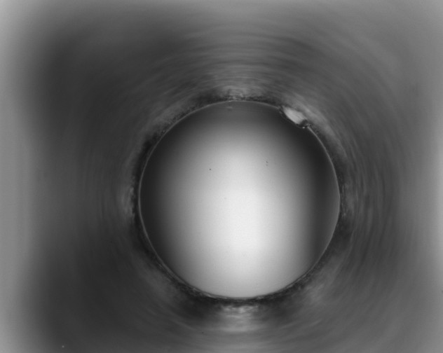 X0000090420450200707201121