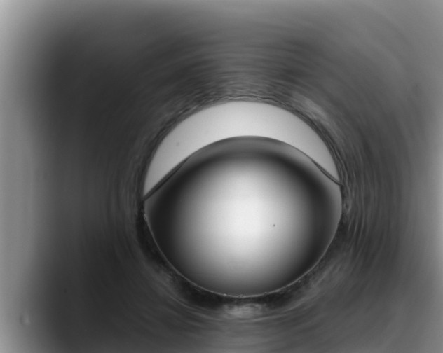 X0000090420452200707201121