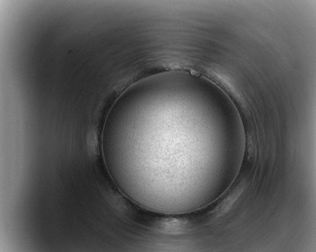 X0000090420453200707201121