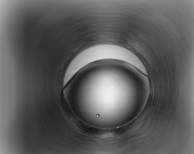 X0000090420456200707201121